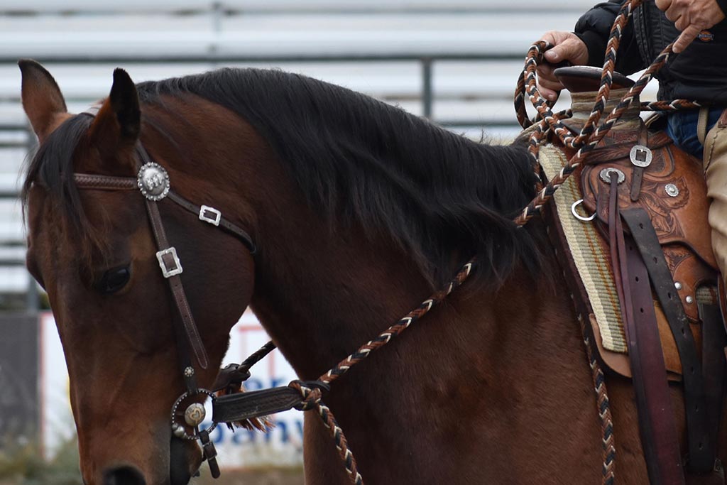 Standing Heart Horse Ranch - Horsemanship training lessons seminars clinics Montana Whitefish