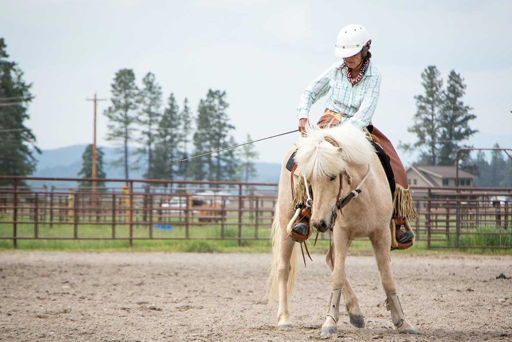 Standing Heart Horse Ranch - Horsemanship training lessons seminars clinics Montana Whitefish