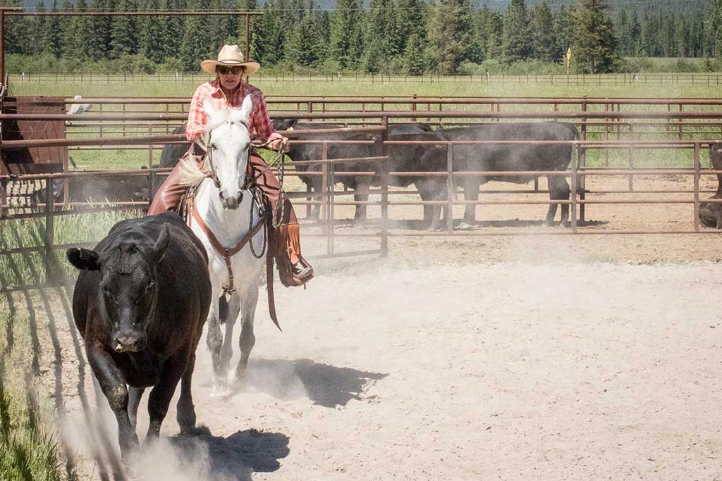 Standing Heart Horse Ranch - Horsemanship training lessons seminars clinics Montana Whitefish