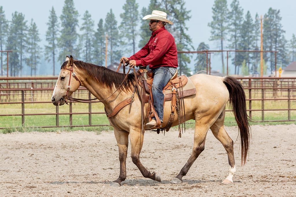 Standing Heart Horse Ranch - Horsemanship training lessons seminars clinics Montana Whitefish