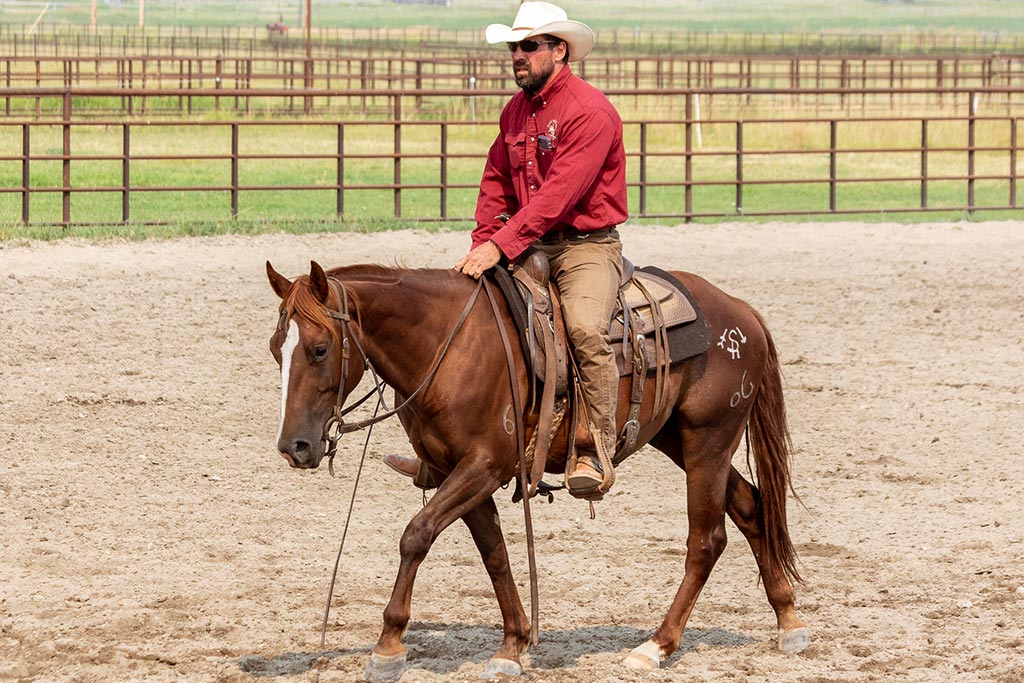 Standing Heart Horse Ranch - Horsemanship training lessons seminars clinics Montana Whitefish