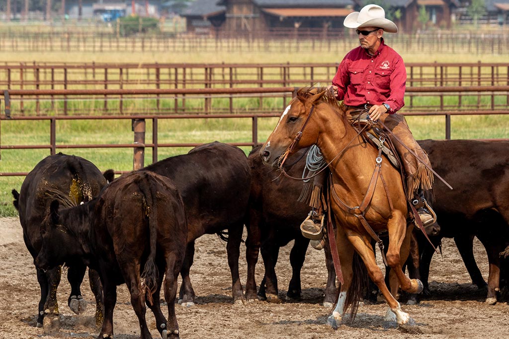 Standing Heart Horse Ranch - Horsemanship training lessons seminars clinics Montana Whitefish