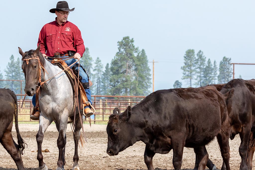 Standing Heart Horse Ranch - Horsemanship training lessons seminars clinics Montana Whitefish