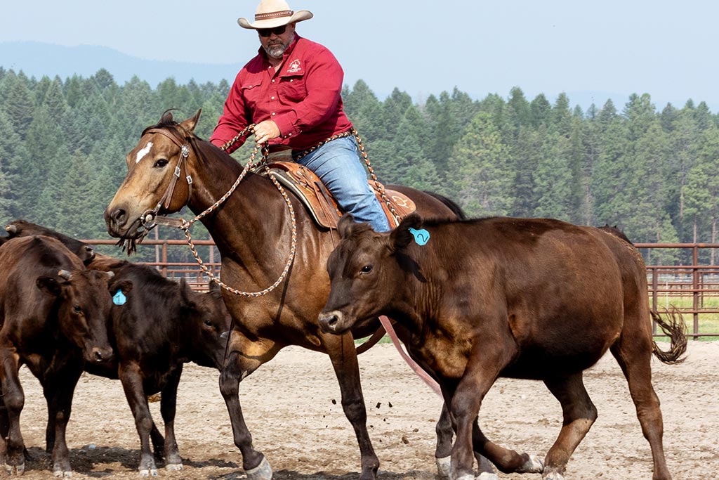 Standing Heart Horse Ranch - Horsemanship training lessons seminars clinics Montana Whitefish