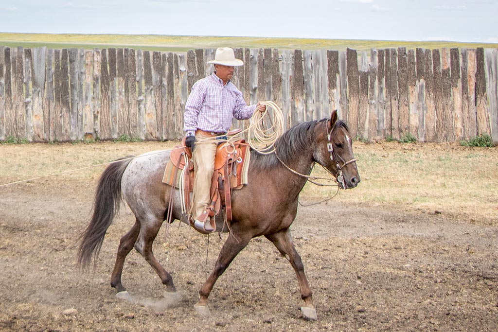 Standing Heart Horse Ranch - Horsemanship training lessons seminars clinics Montana Whitefish