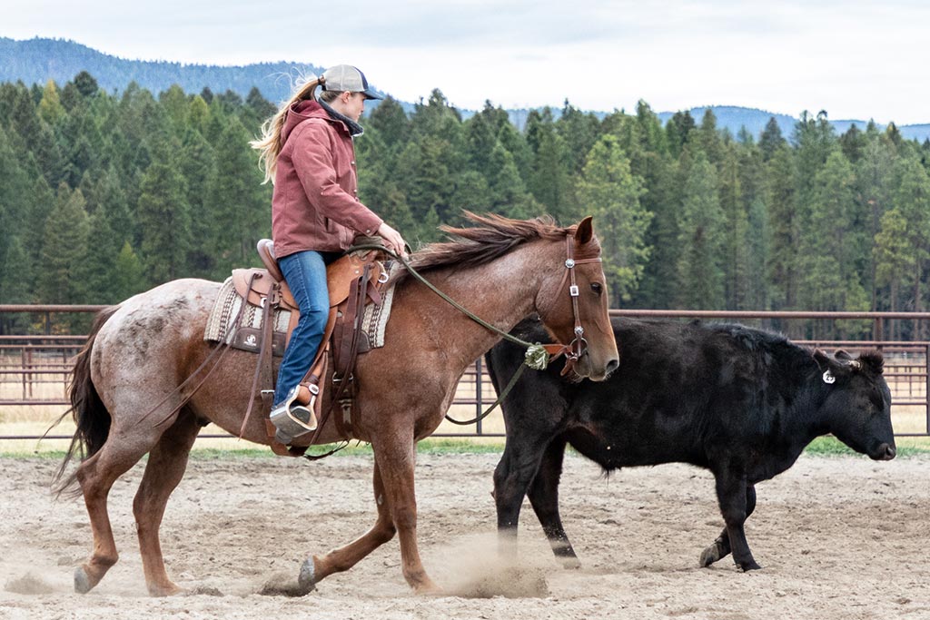 Standing Heart Horse Ranch - Horsemanship training lessons seminars clinics Montana Whitefish