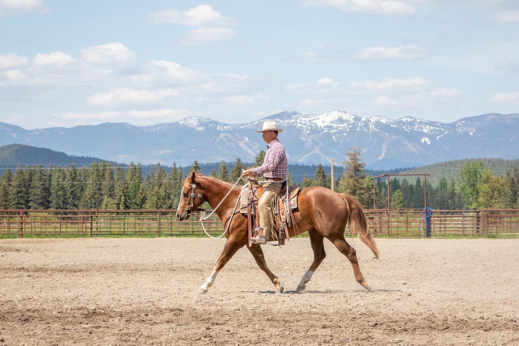 Standing Heart Horse Ranch - Horsemanship training lessons seminars clinics Montana Whitefish