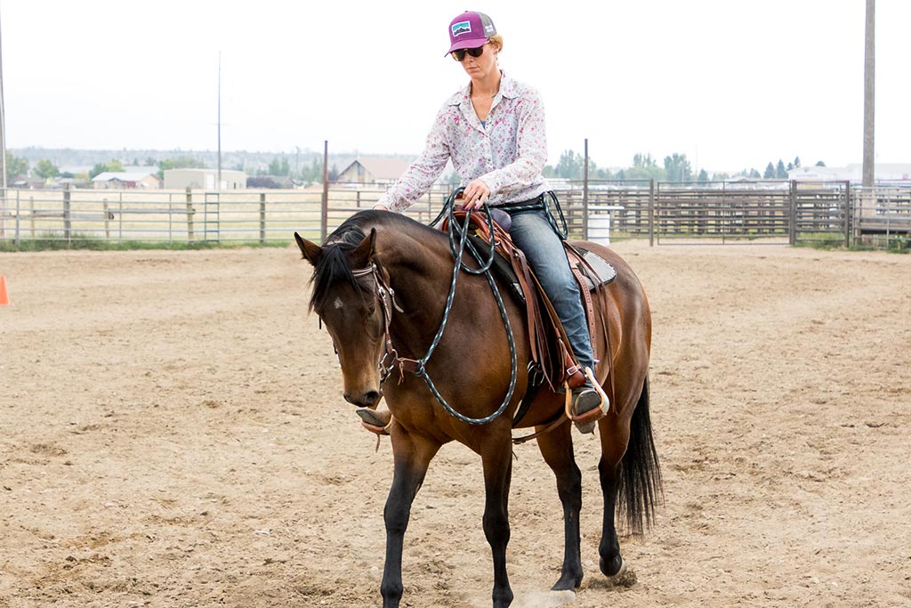 Standing Heart Horse Ranch - Horsemanship training lessons seminars clinics Montana Whitefish