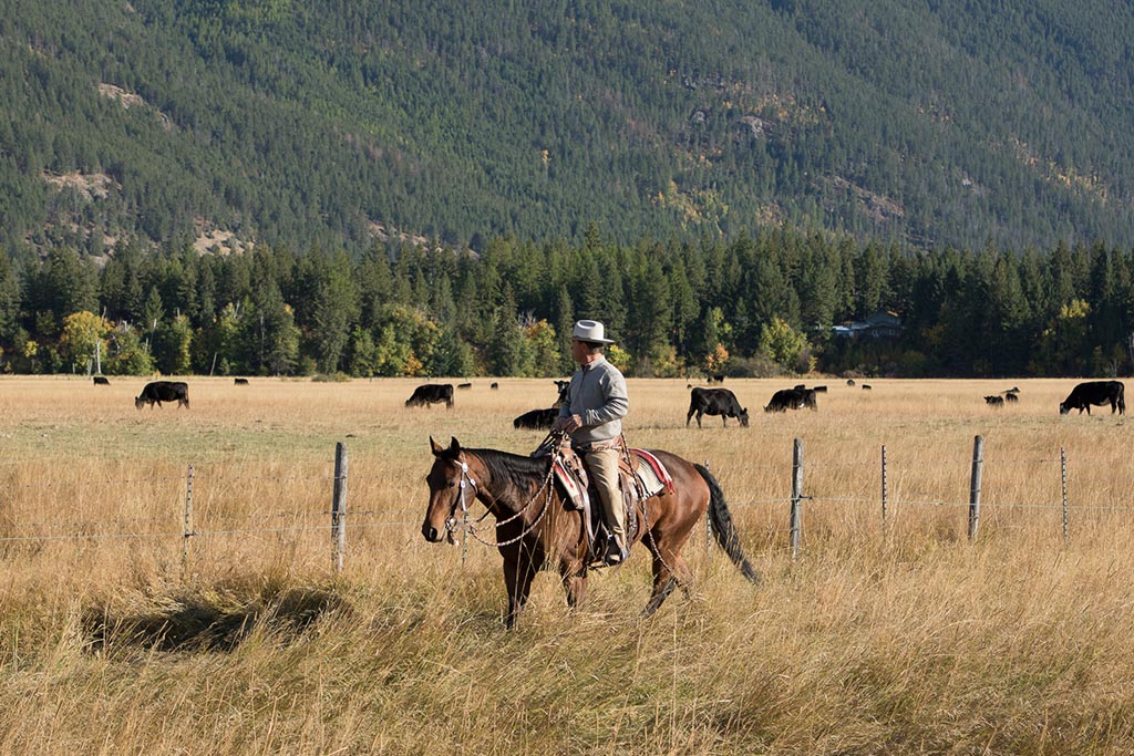 Standing Heart Horse Ranch - Horsemanship training lessons seminars clinics Montana Whitefish