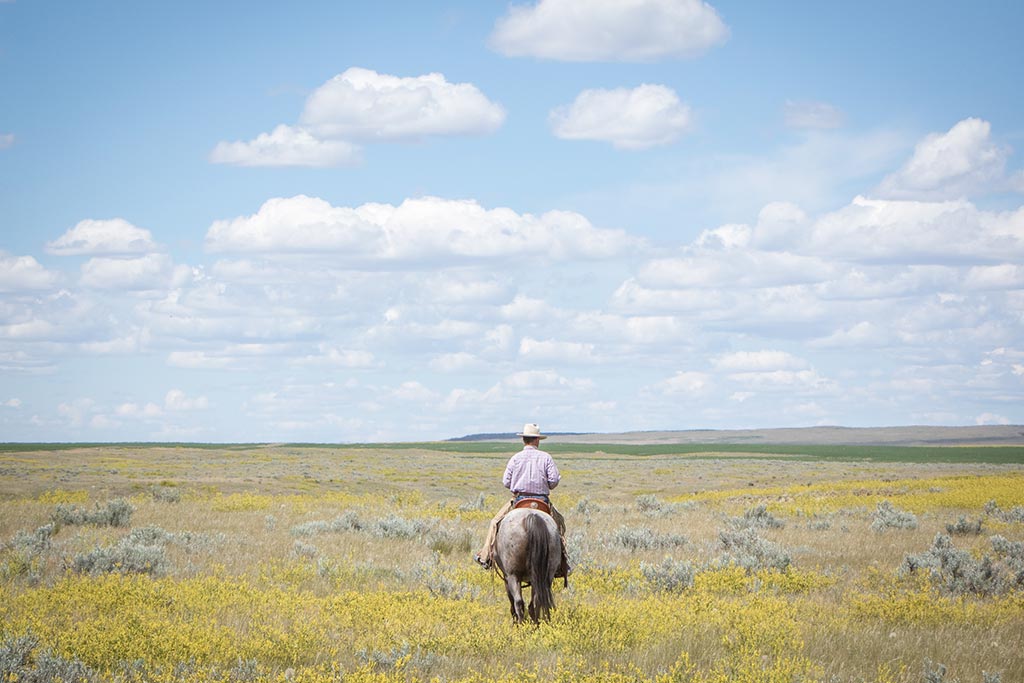 Standing Heart Horse Ranch - Horsemanship training lessons seminars clinics Montana Whitefish