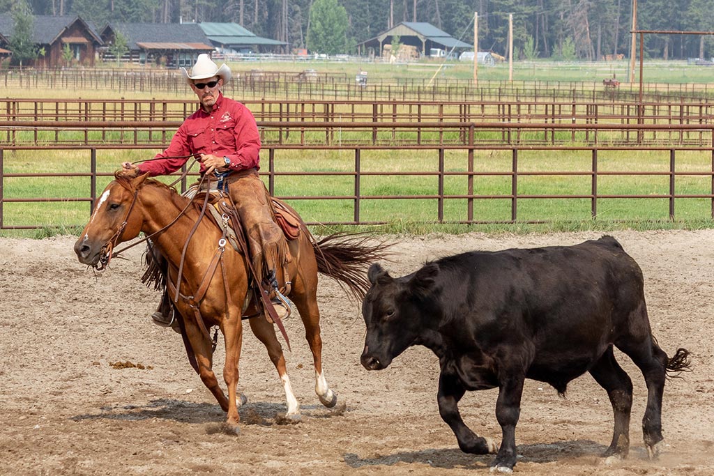 Standing Heart Horse Ranch - Horsemanship training lessons seminars clinics Montana Whitefish