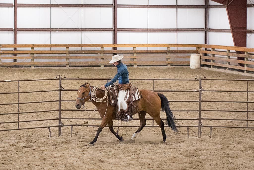 Standing Heart Horse Ranch - Horsemanship training lessons seminars clinics Montana Whitefish