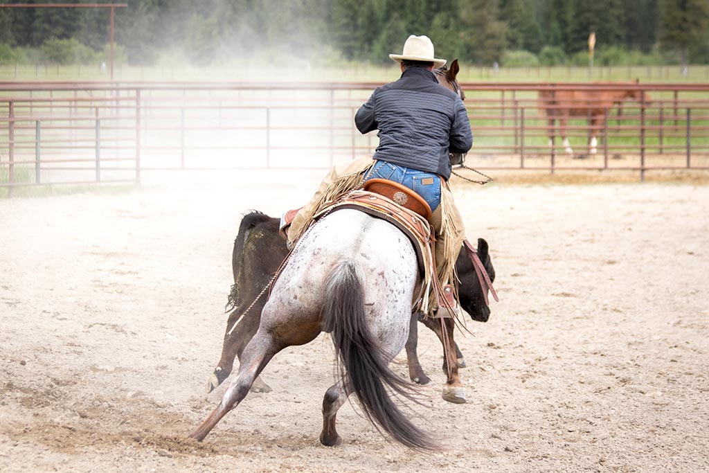 Standing Heart Horse Ranch - Horsemanship training lessons seminars clinics Montana Whitefish