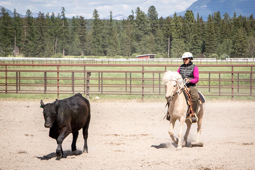 Standing Heart Horse Ranch - Horsemanship training lessons seminars clinics Montana Whitefish