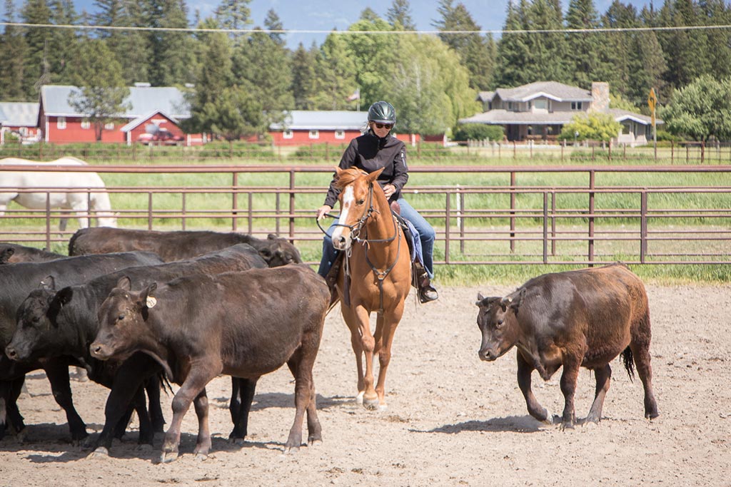 Standing Heart Horse Ranch - Horsemanship training lessons seminars clinics Montana Whitefish