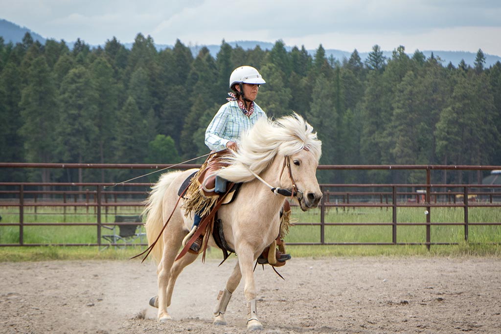 Standing Heart Horse Ranch - Horsemanship training lessons seminars clinics Montana Whitefish