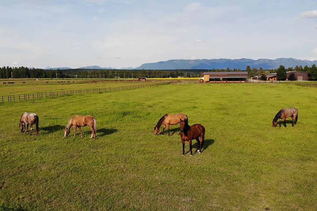 Standing Heart Horse Ranch - Horsemanship training lessons seminars clinics Montana Whitefish