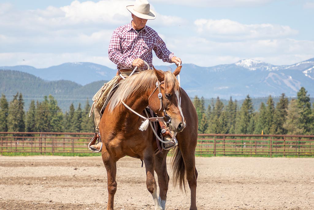 Standing Heart Horse Ranch - Horsemanship training lessons seminars clinics Montana Whitefish