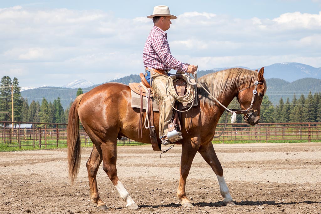 Standing Heart Horse Ranch - Horsemanship training lessons seminars clinics Montana Whitefish