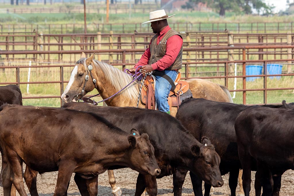 Standing Heart Horse Ranch - Horsemanship training lessons seminars clinics Montana Whitefish