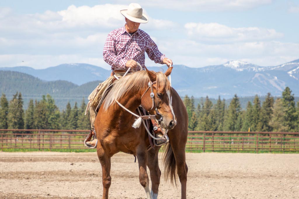 Standing Heart Horse Ranch - Horsemanship training lessons seminars clinics Montana Whitefish