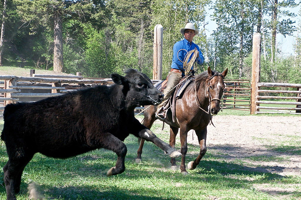 Standing Heart Horse Ranch - Horsemanship training lessons seminars clinics Montana Whitefish