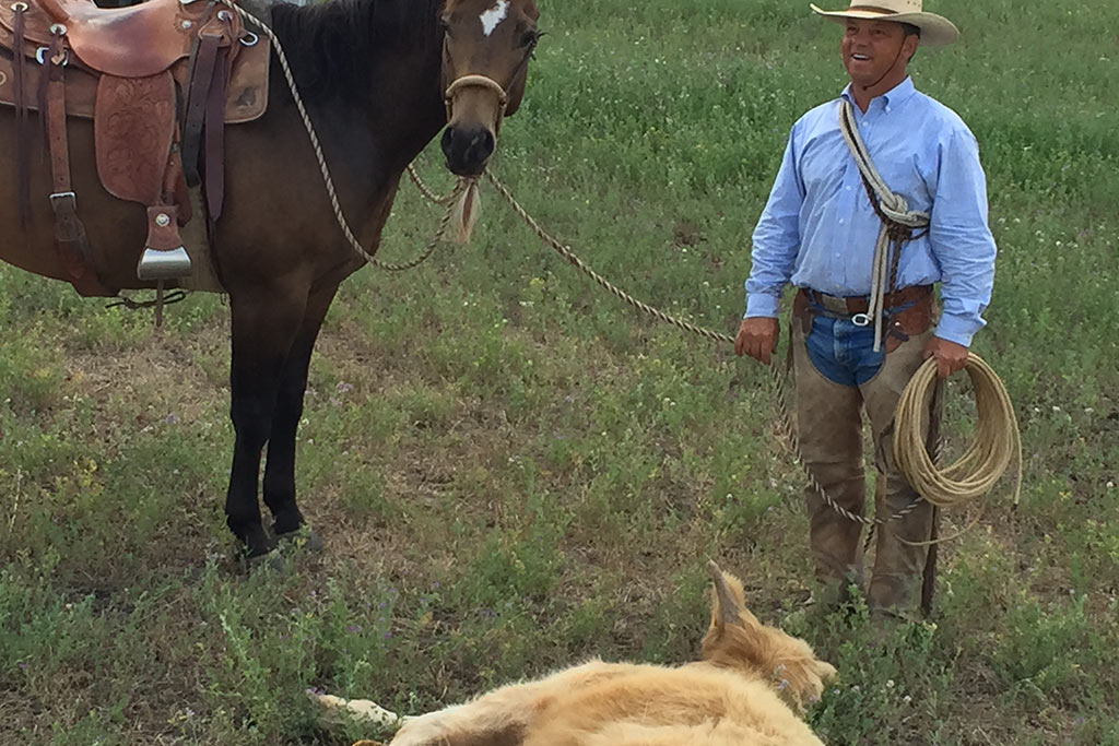 Standing Heart Horse Ranch - Horsemanship training lessons seminars clinics Montana Whitefish