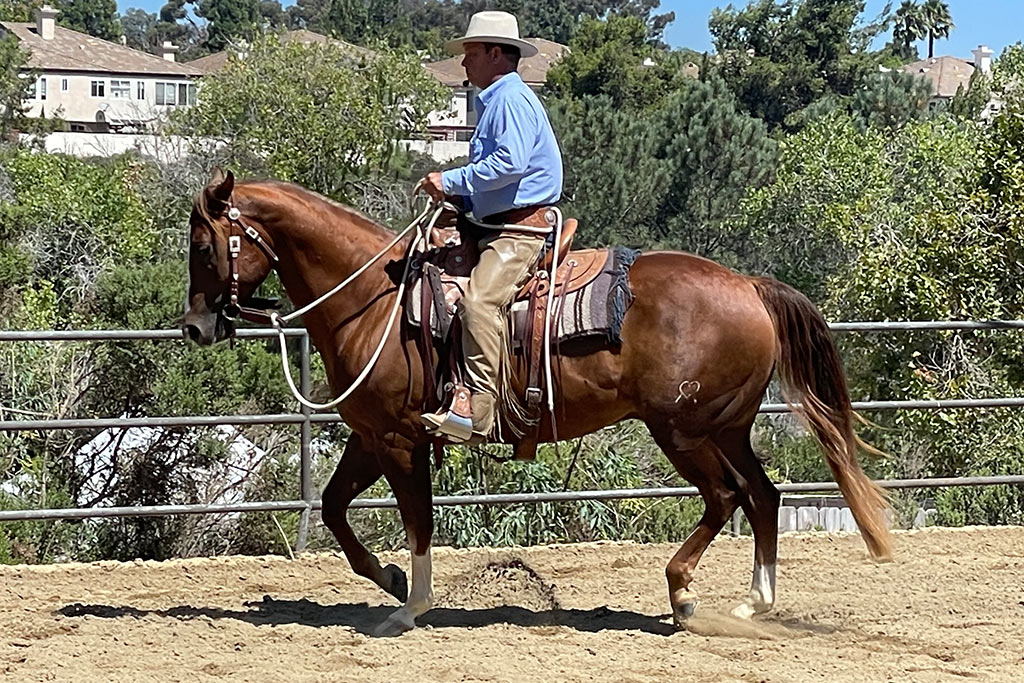 Standing Heart Horse Ranch - Horsemanship training lessons seminars clinics Montana Whitefish