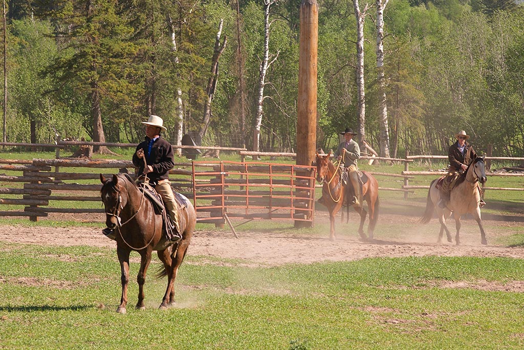 Standing Heart Horse Ranch - Horsemanship training lessons seminars clinics Montana Whitefish