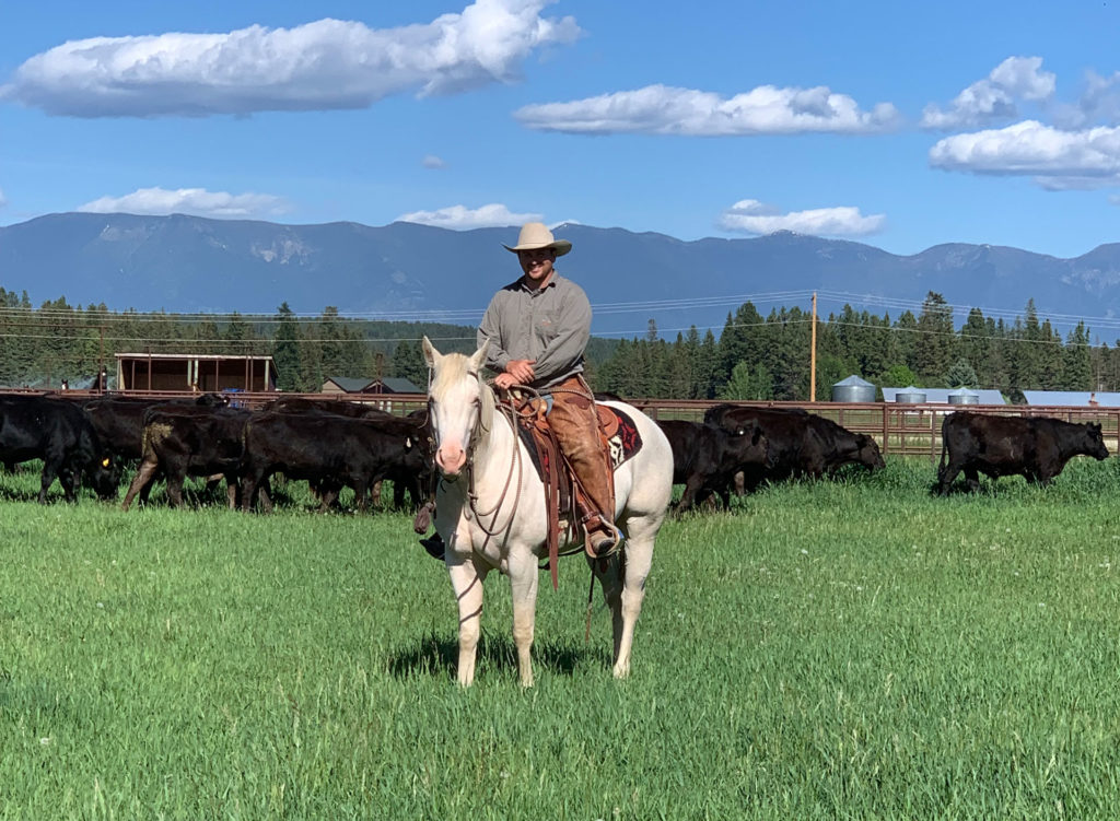 Horsemanship training intership MT