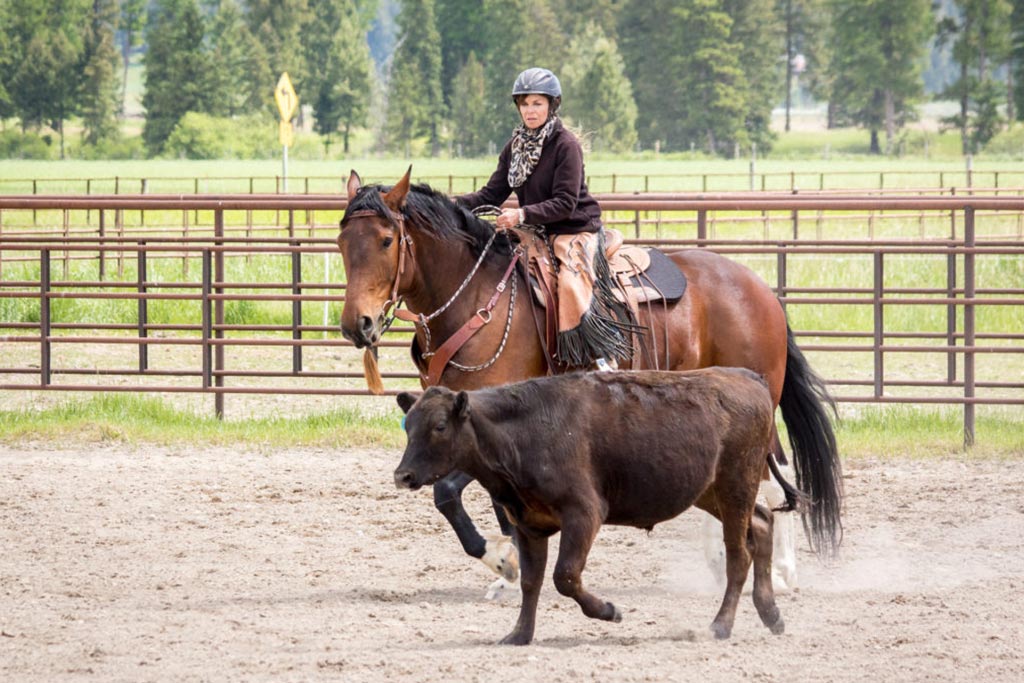 Cow Working horsmanship clinic - lessons with Dave Gamble - Kalispell MT