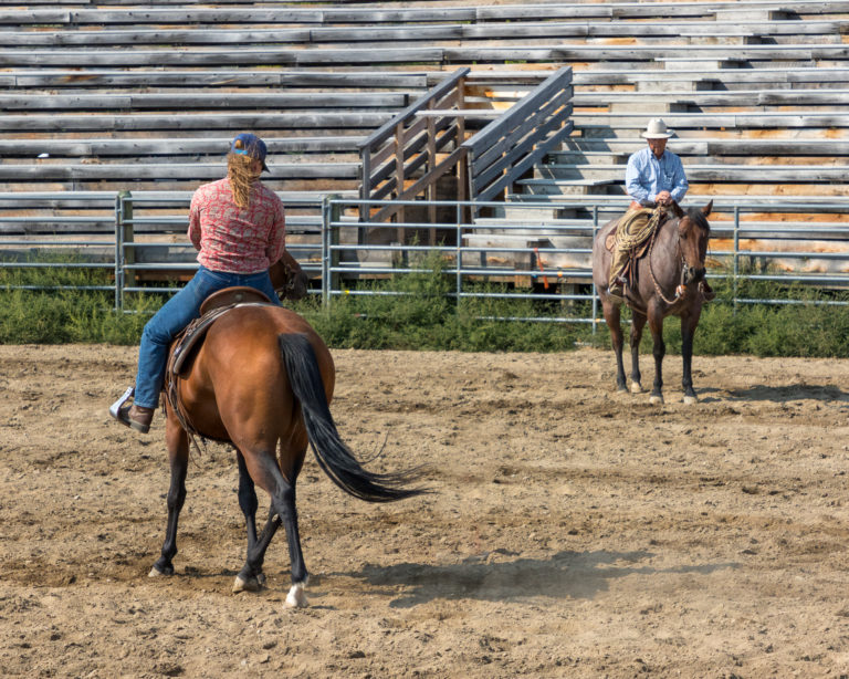 Learn horsmanship - lessons with Dave Gamble - Kalispell MT