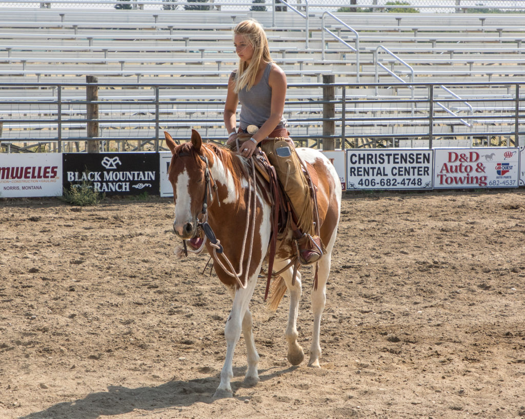 Horsemanship training intership MT