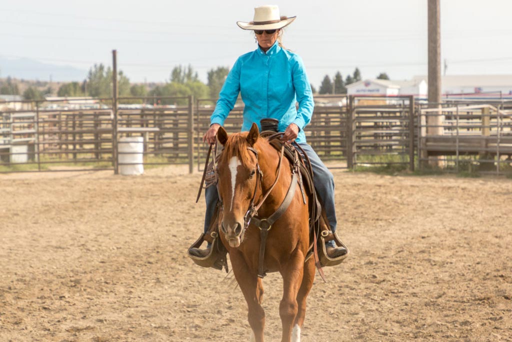 horsmanship clinic - lessons with Dave Gamble - Kalispell MT