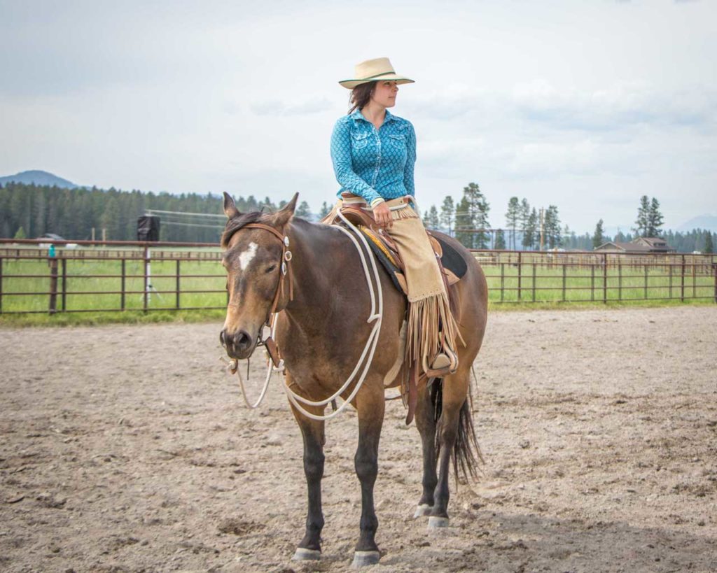 Horsemanship training intership MT