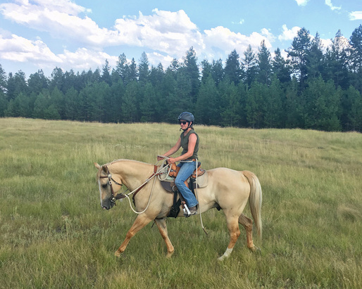 Horsemanship training intership MT