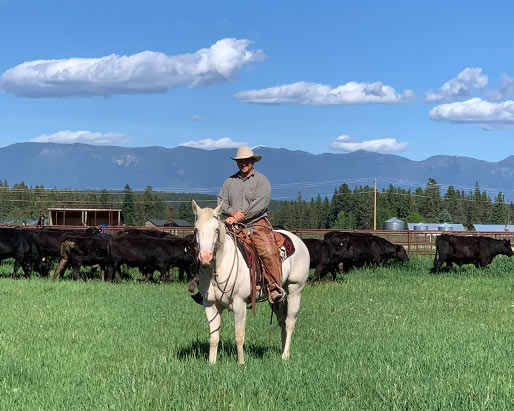 Wagyu Beef For Sale in Kalispell and the Flathead Valley MT Shipped Nationally U.S.